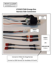 Load image into Gallery viewer, LT250R-STATOR